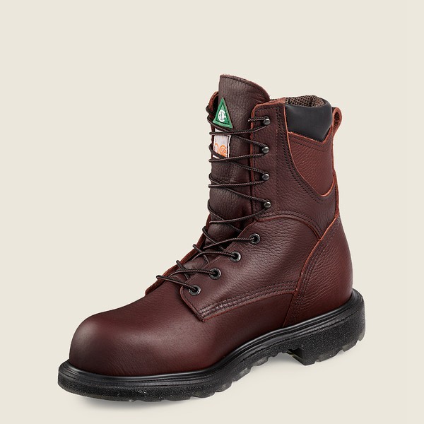 Mens Red Wing Supersole® 2.0 - 8-inch Insulated Waterproof Csa Toe - Safety Boots Burgundy - HZP0497